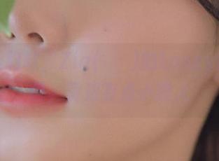 福利斩韵味，Zia(지아)的Loozy百合图包，竟然有点小撩人