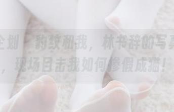 紧急企划 – 豹纹和我，林书辞的写真原图，现场目击我如何掺假成猫！